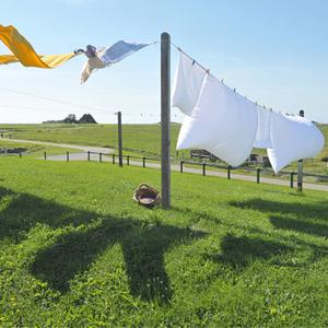 카라비너를 가진 8mm 나일론 자석 낚싯줄 65 피트 안전 밧줄 9